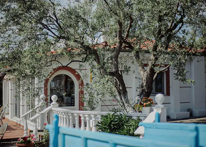 Resort Dimitris